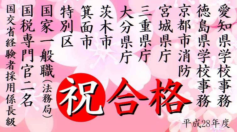 公務員試験面接セミナー　合格実績　平成28年度